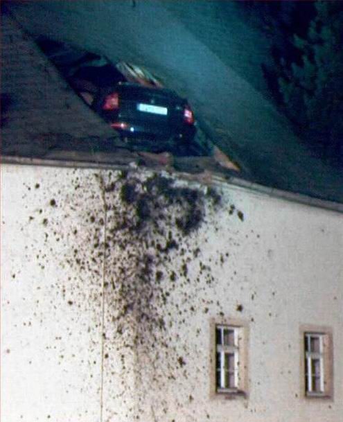 Co Cię może spotkać na drodze? #2 13