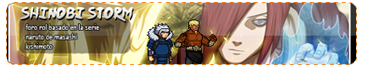 Shinobi storm
