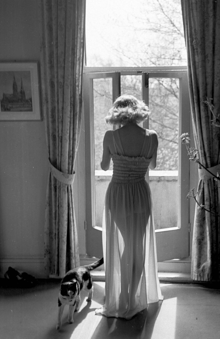 Foto pobudka #417 95