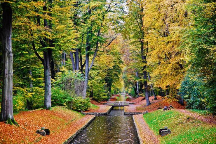 Foto pobudka #457 54