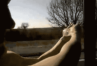 Animowane gify #135 4