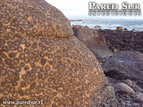 Pan de Az�car