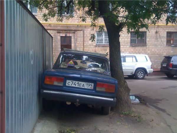 Tylko w Rosji 2