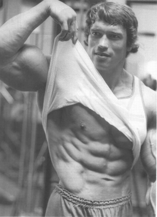 Arnold Schwarzenegger 100
