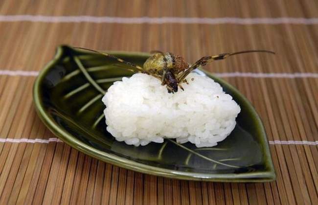 Sushi z owadami 12