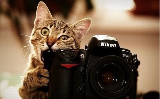 Foto pobudka #408 35