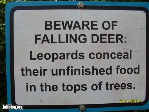 FAIL #28 9