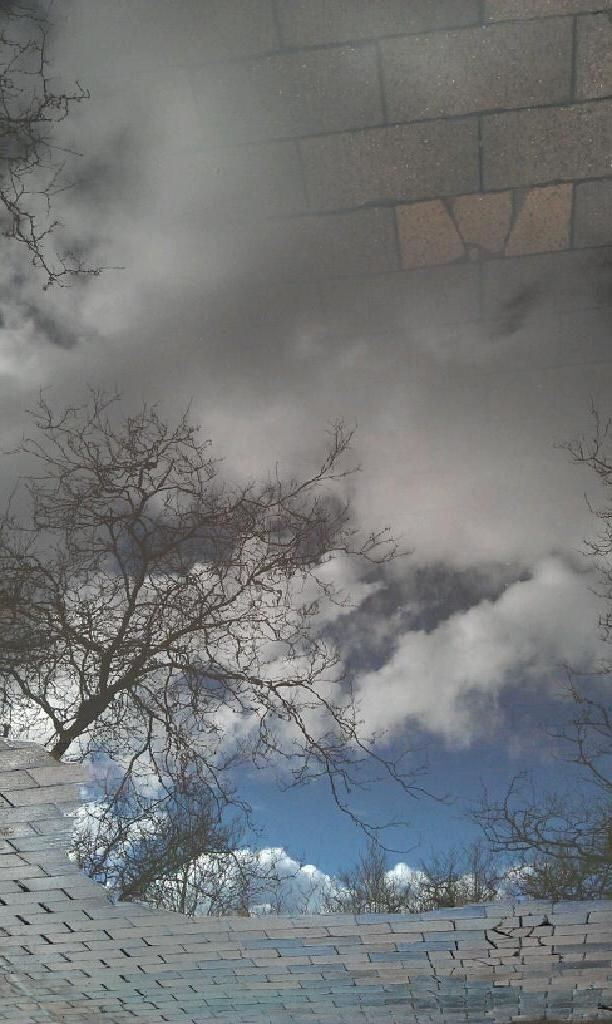 Foto pobudka #524 42