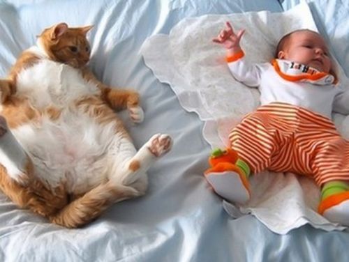 Foto pobudka #159 52