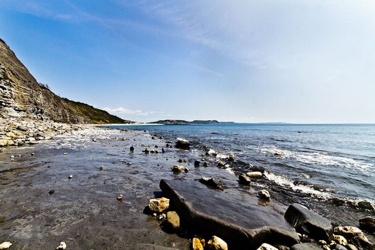Wybrzeże Jurajskie 11