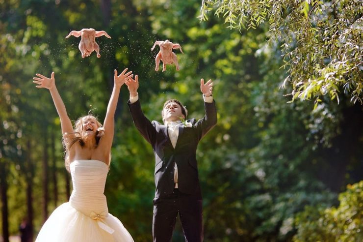 Foto pobudka #407 51