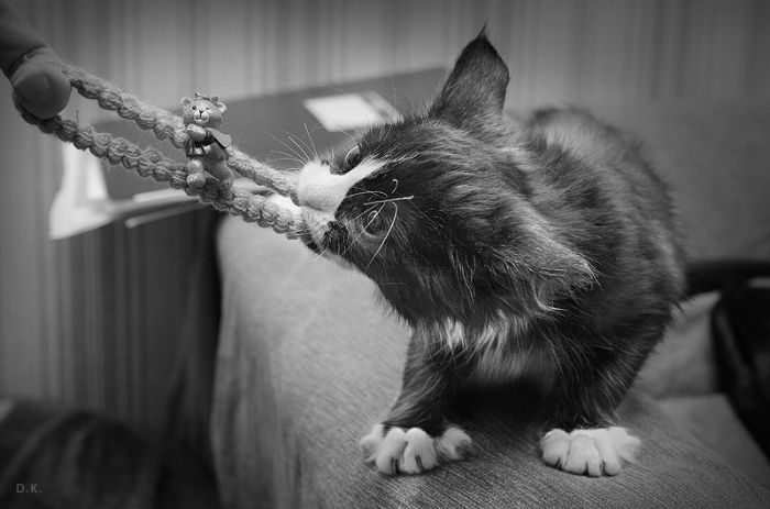Foto pobudka #491 37