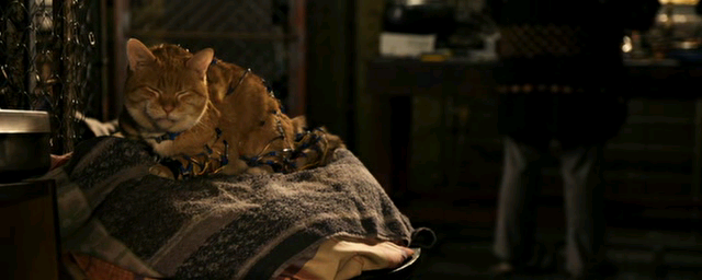 La Última Noche de la Humanidad [2011] [DvdRip] [Esp. Latino] [Varios Servidores]