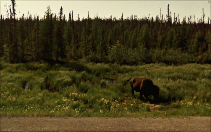 Najdziwniejsze zdjęcia z Google Street View #3 25