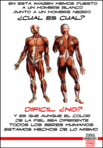 mando mando