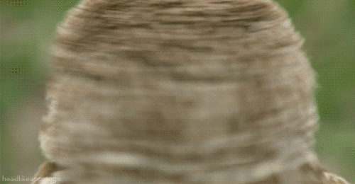 Animowane gify #143 21