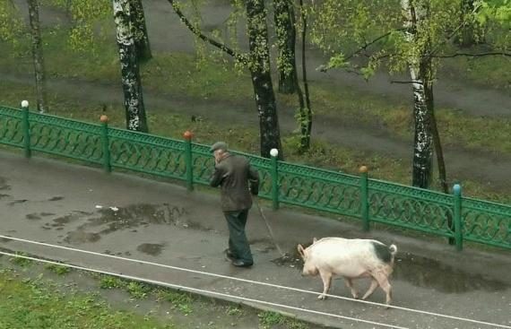 Śmieszne zdjęcia #101 26