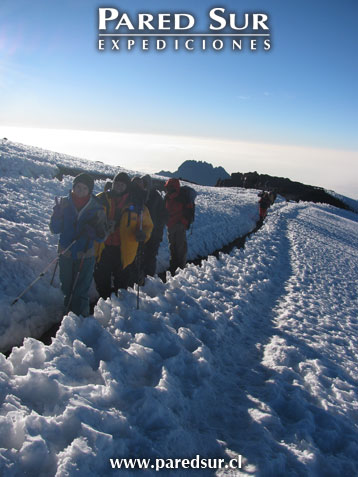 Kilimanjaro