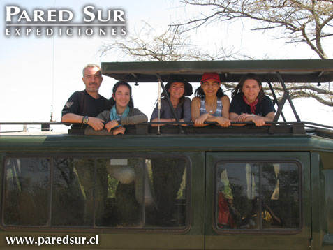 Safari