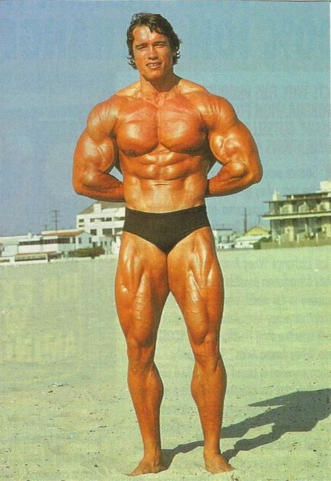 Arnold Schwarzenegger 17