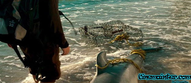 Winter el Delfin: La Gran Aventura (2011) DVDRip Espa�ol Latino