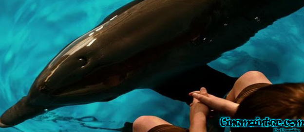 Winter el Delfin: La Gran Aventura (2011) DVDRip Espa�ol Latino