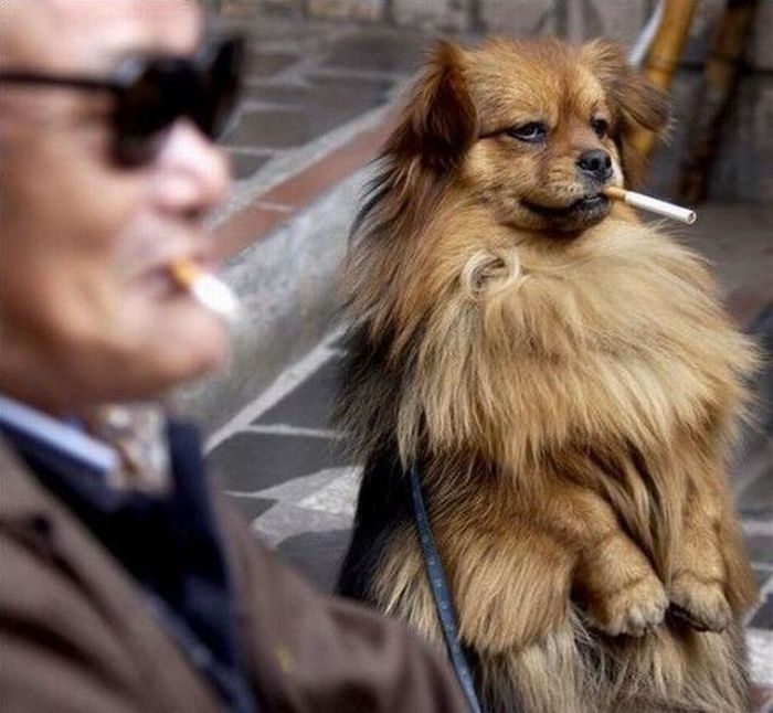 Foto pobudka #420 18