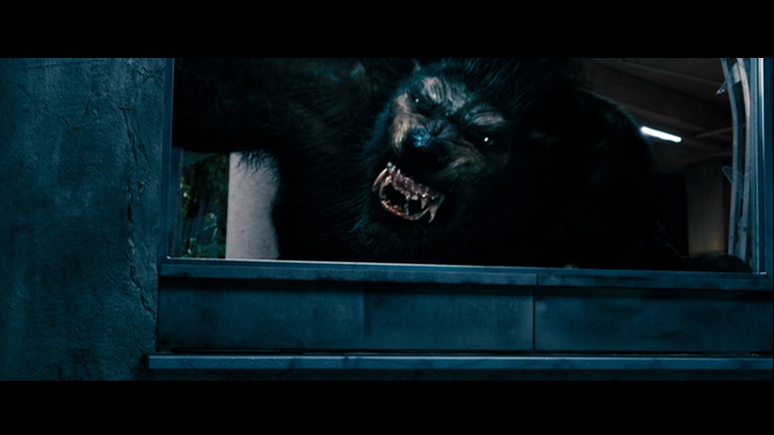 Underworld: Awakening [2012] [DvdR-Ntsc] [Latino] [Aud: 5.1] [FF-RG-LB]