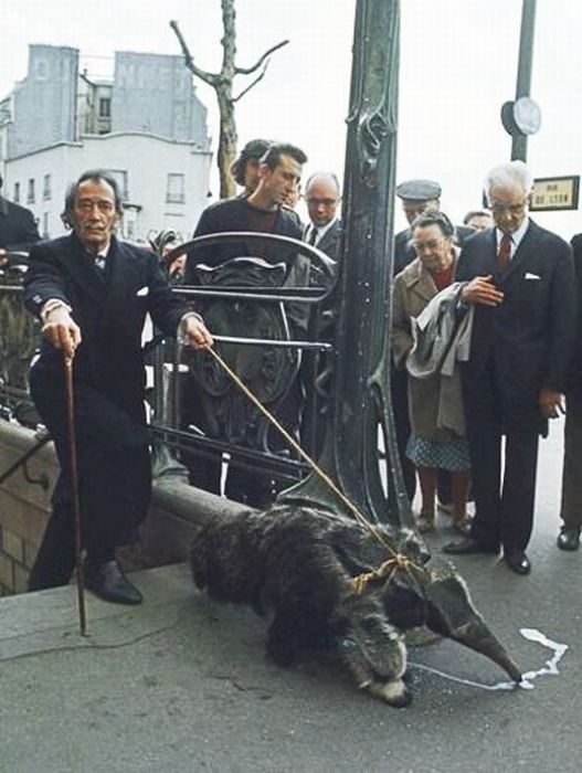 Foto pobudka #393 32