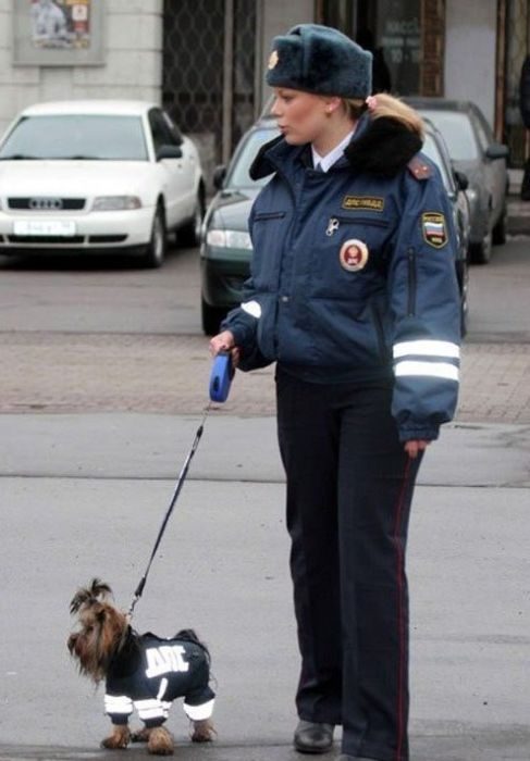 Foto pobudka #373 72