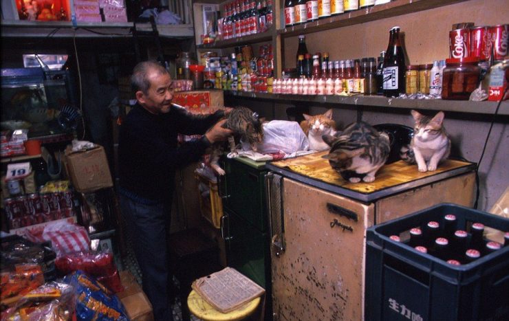 Kowloon Walled City 11