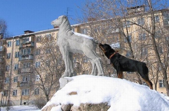 Foto pobudka #352 20