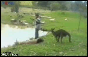 Tymczasem w Australii 18