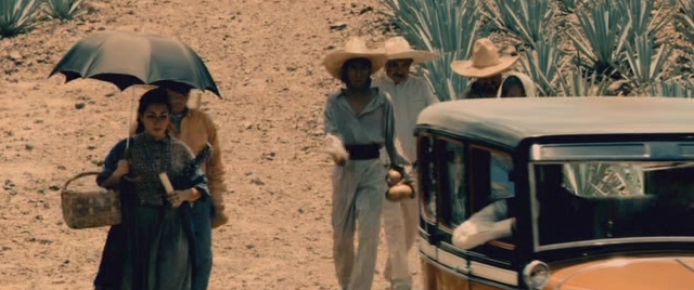 dNWTEQUILA3eBQ.jpg