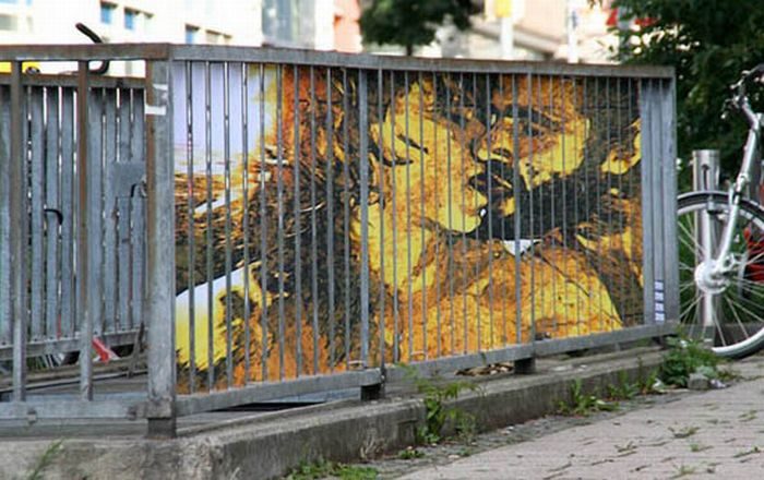 Zebrating-art: niezwykłe obrazy na ogrodzeniach 2
