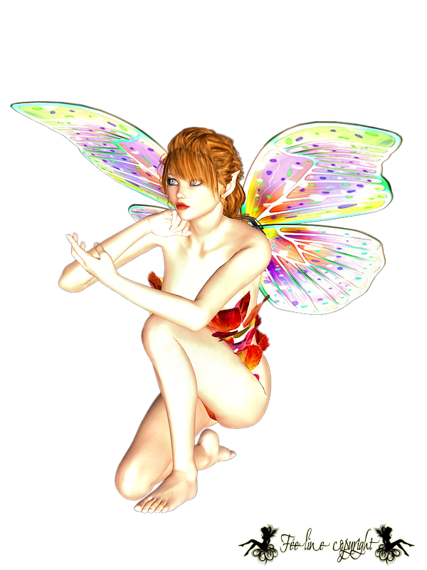 Click here to see a large version