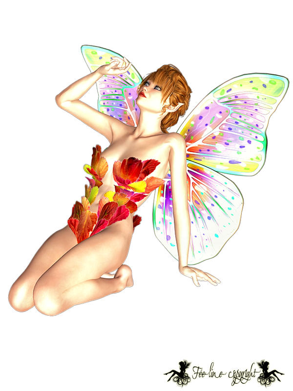 Click here to see a large version