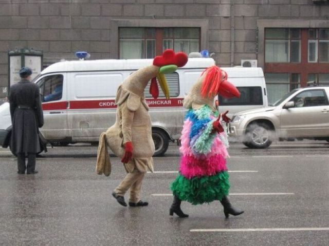 Foto pobudka #403 76