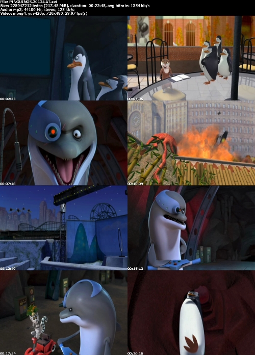 xdppinguinos2BHG.jpg