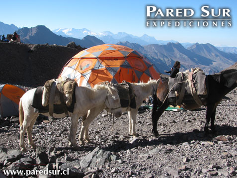 Foto Pablo Sep�lveda
