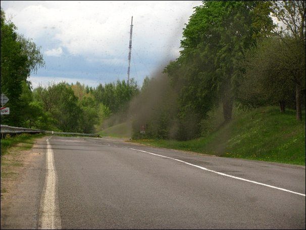 Chmara komarów 7
