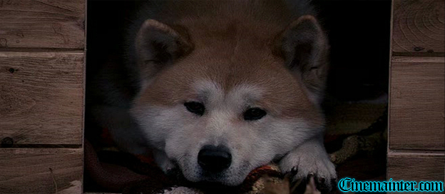 Siempre a tu Lado: Hachiko (2008) DVDRip Espa�ol Latino