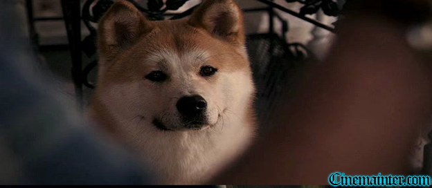 Siempre a tu Lado: Hachiko (2008) DVDRip Espa�ol Latino