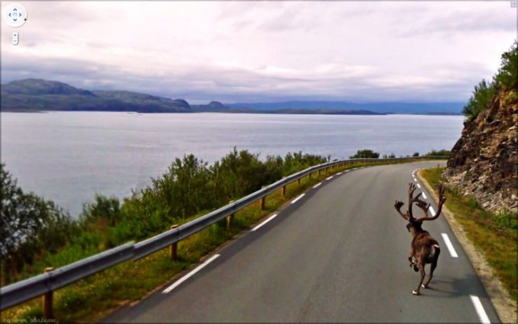 Najdziwniejsze zdjęcia z Google Street View #3 32