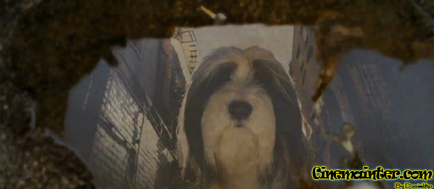 Un Papa con Pocas Pulgas (2006) DVDRip Español Latino Un Papa con Pocas Pulgas (2006) DVDRip Español Latino