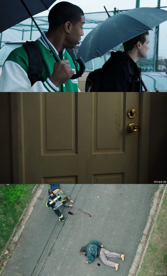 fzCChronicle2x9i.jpg
