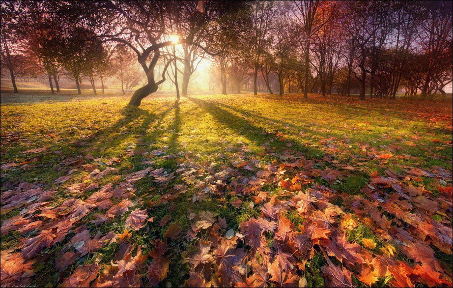 922x586 Barwy jesieni #2 48
