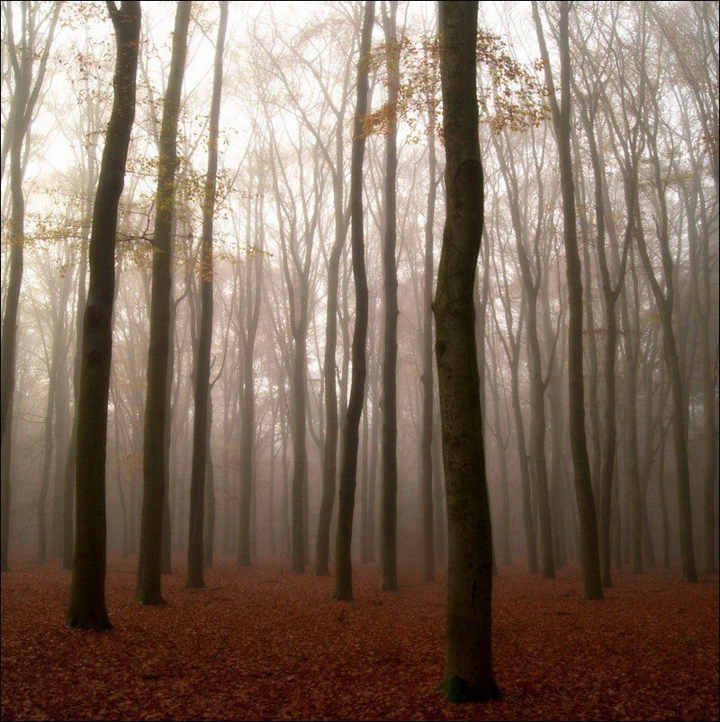 800x802 Barwy jesieni #2 24
