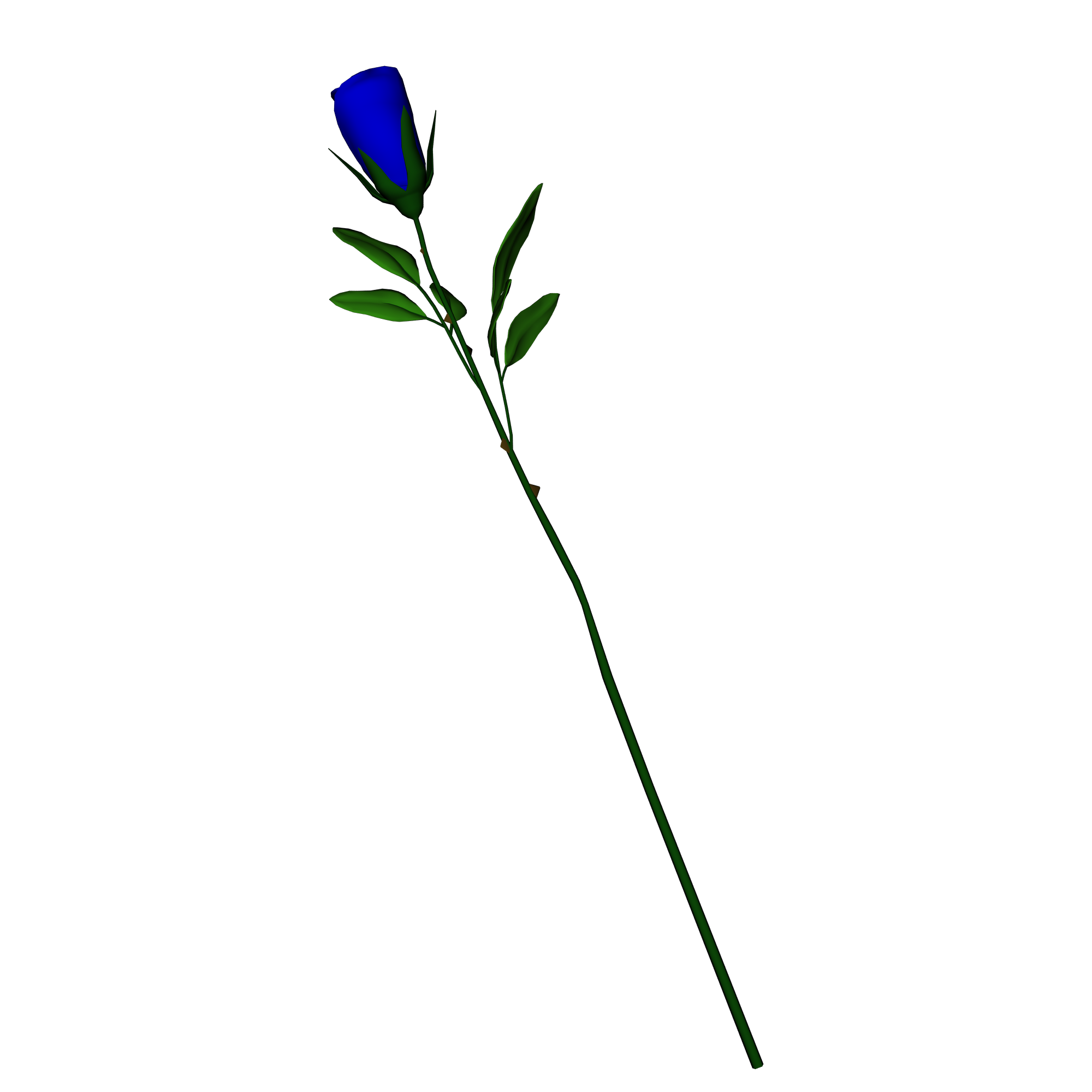 Click here to see a large version