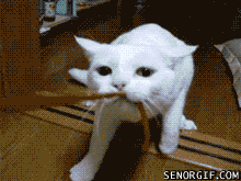 Animowane gify #82 9